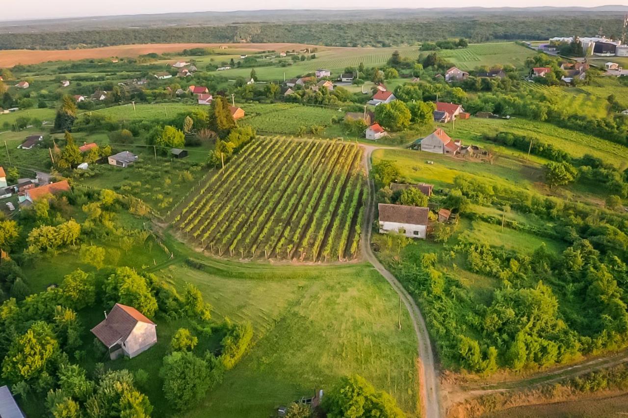 Village Wine House Mandicevac Kültér fotó
