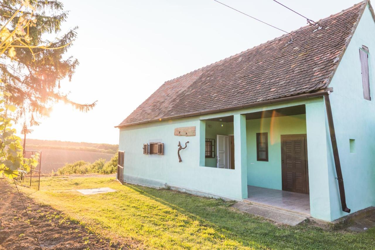 Village Wine House Mandicevac Kültér fotó