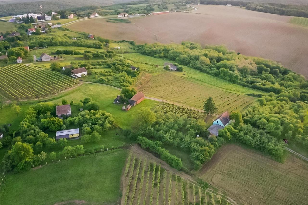 Village Wine House Mandicevac Kültér fotó
