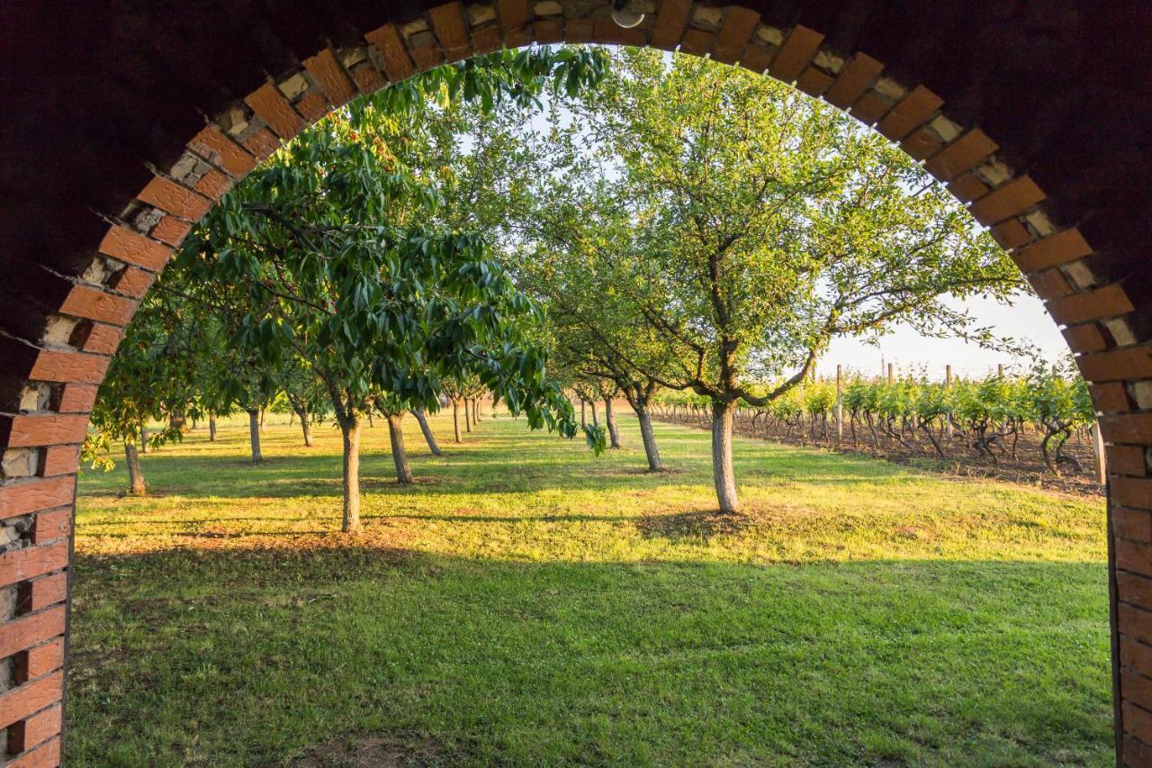 Village Wine House Mandicevac Kültér fotó