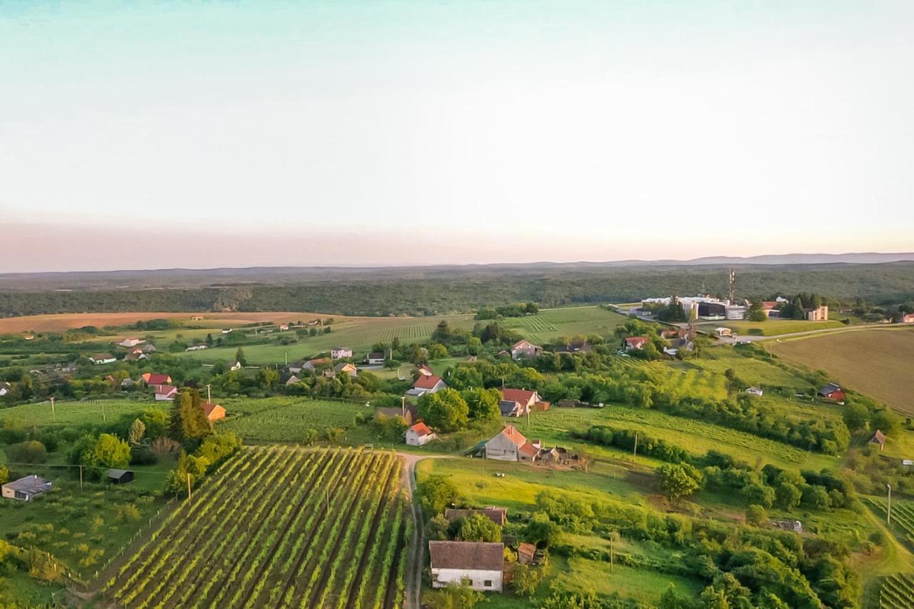 Village Wine House Mandicevac Kültér fotó