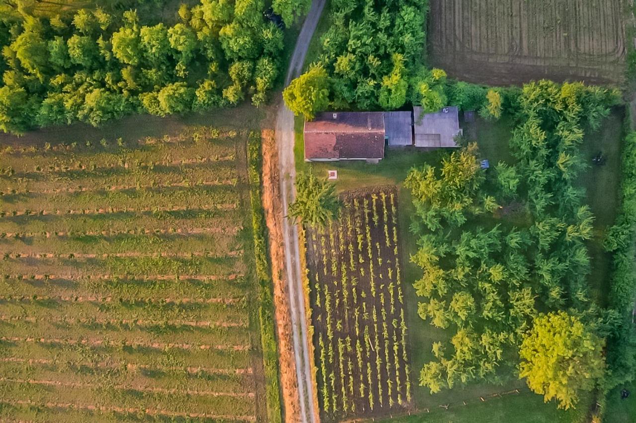 Village Wine House Mandicevac Kültér fotó