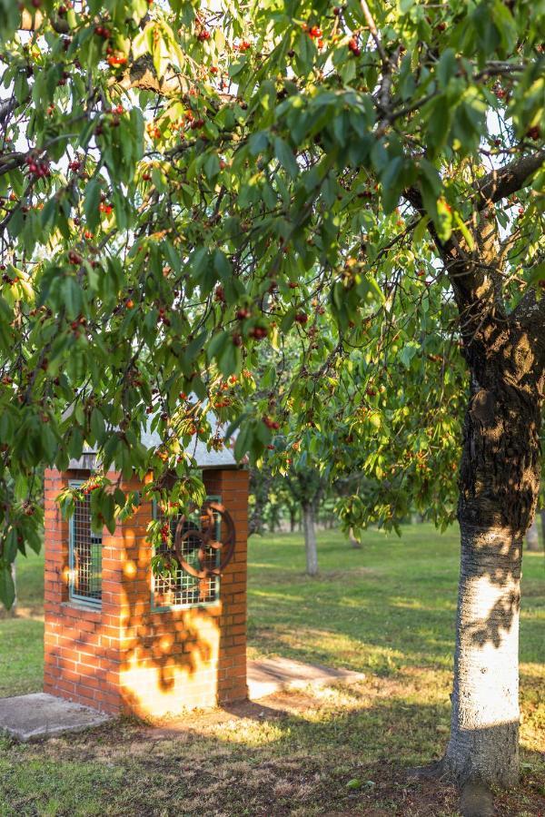 Village Wine House Mandicevac Kültér fotó