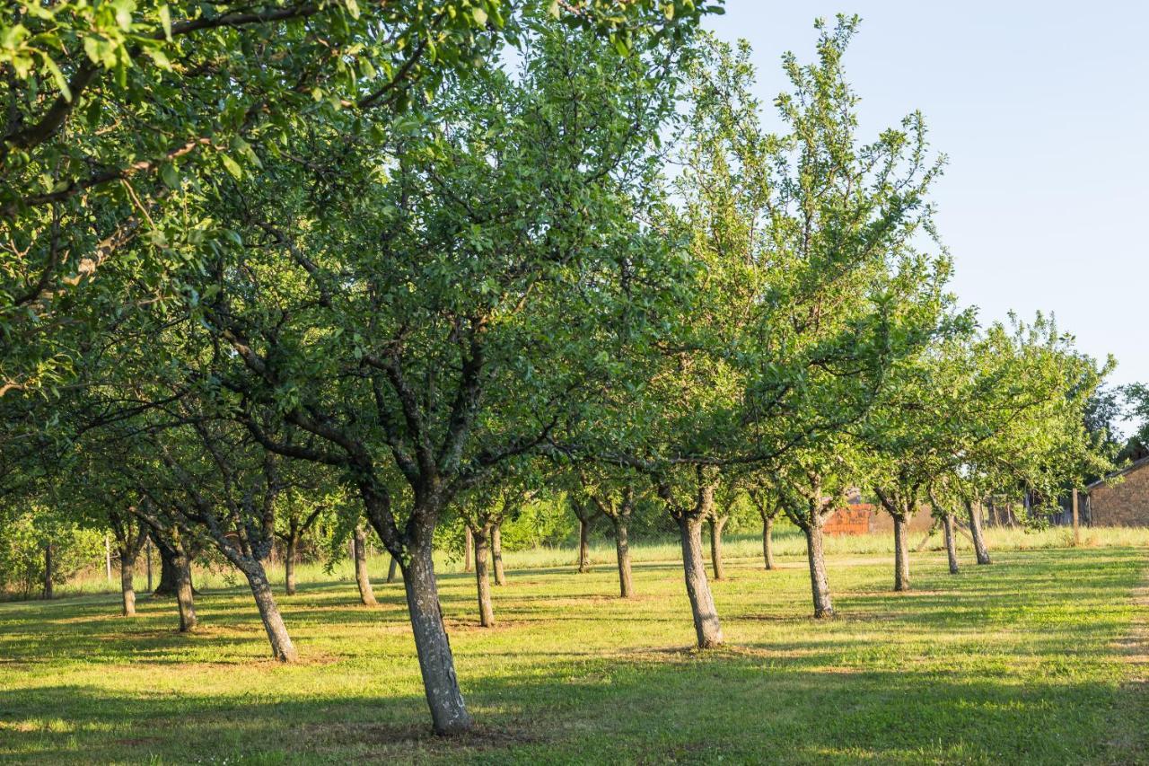 Village Wine House Mandicevac Kültér fotó