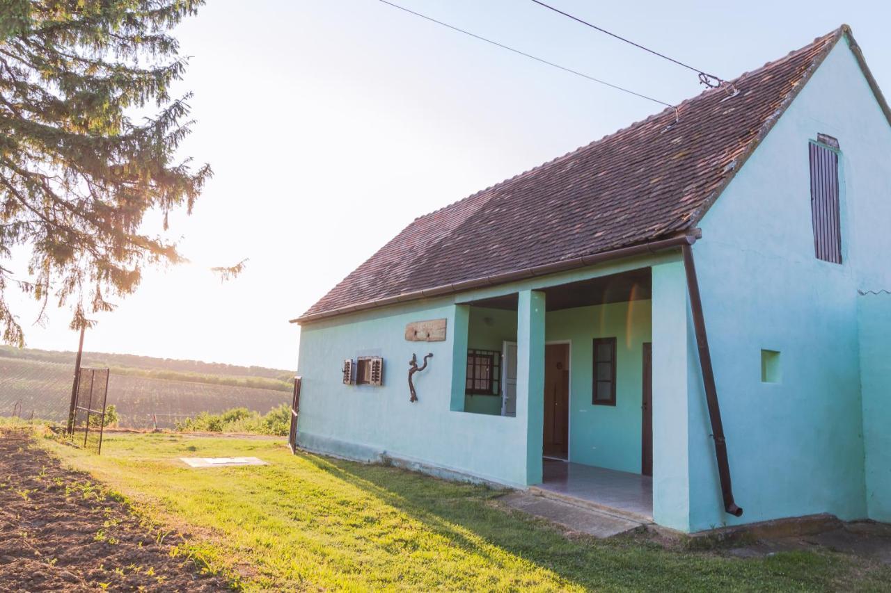 Village Wine House Mandicevac Kültér fotó