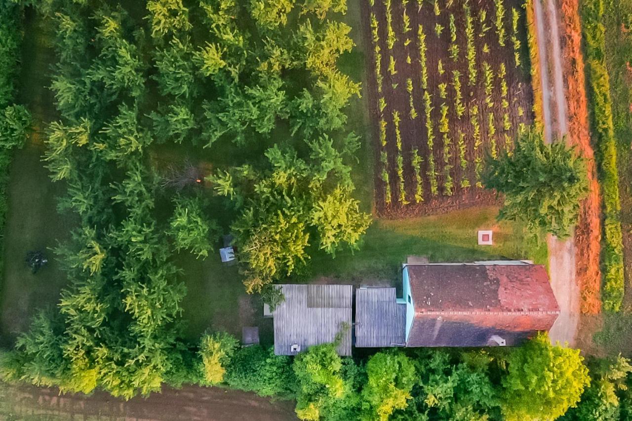 Village Wine House Mandicevac Kültér fotó
