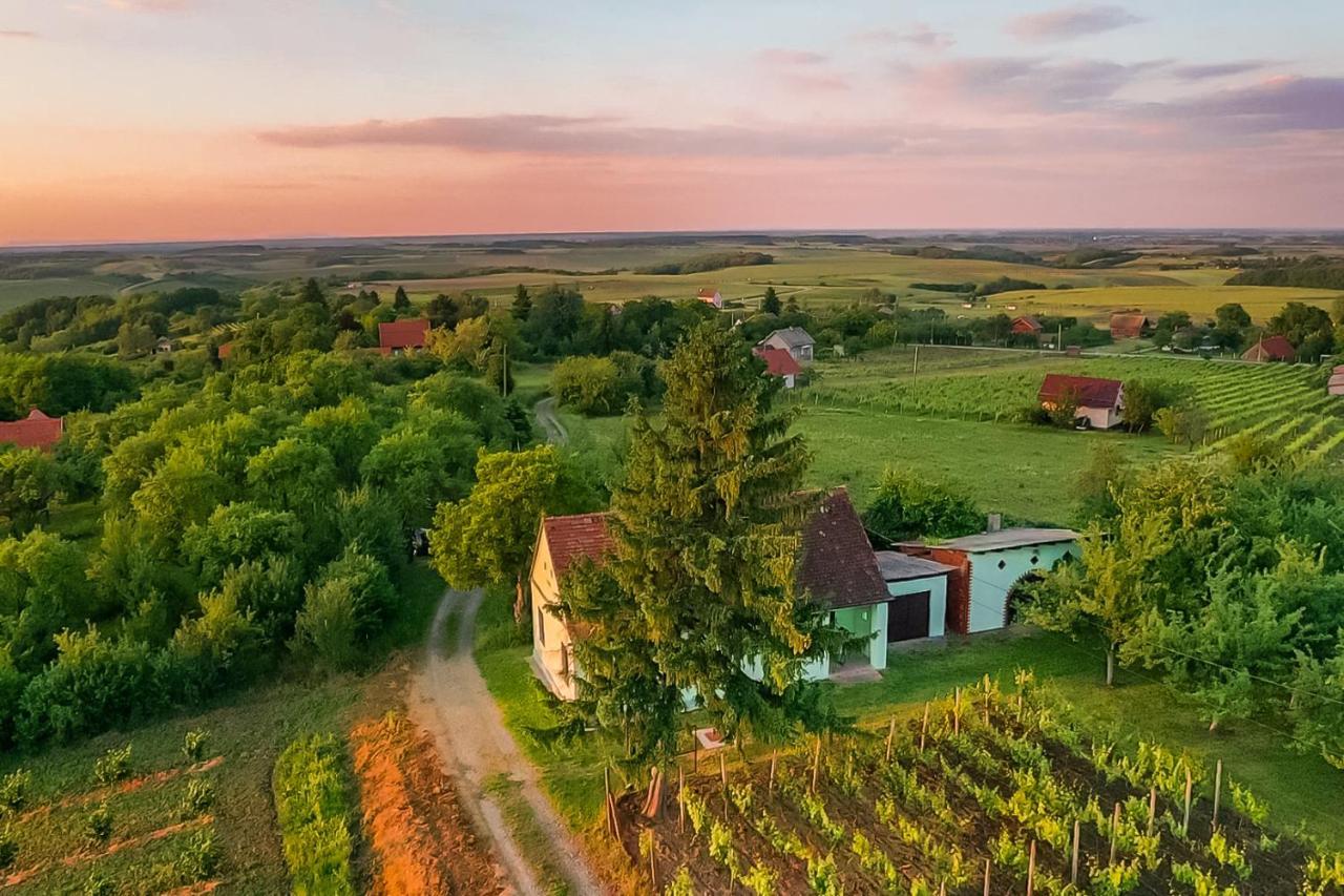 Village Wine House Mandicevac Kültér fotó