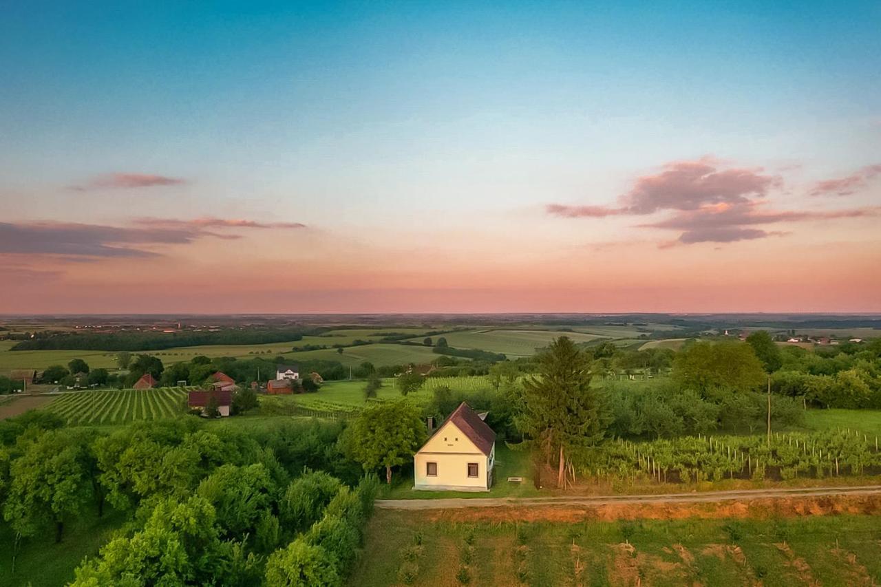 Village Wine House Mandicevac Kültér fotó
