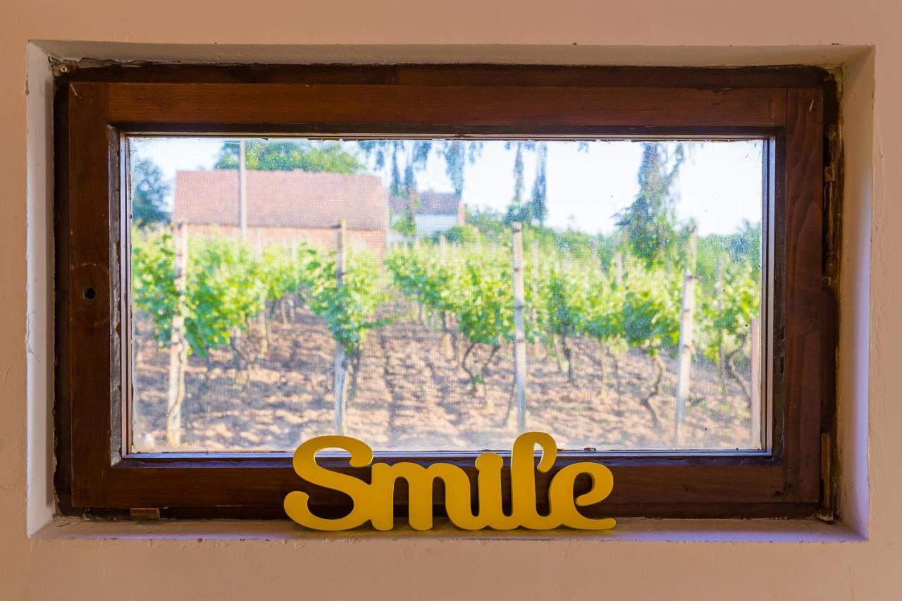 Village Wine House Mandicevac Kültér fotó