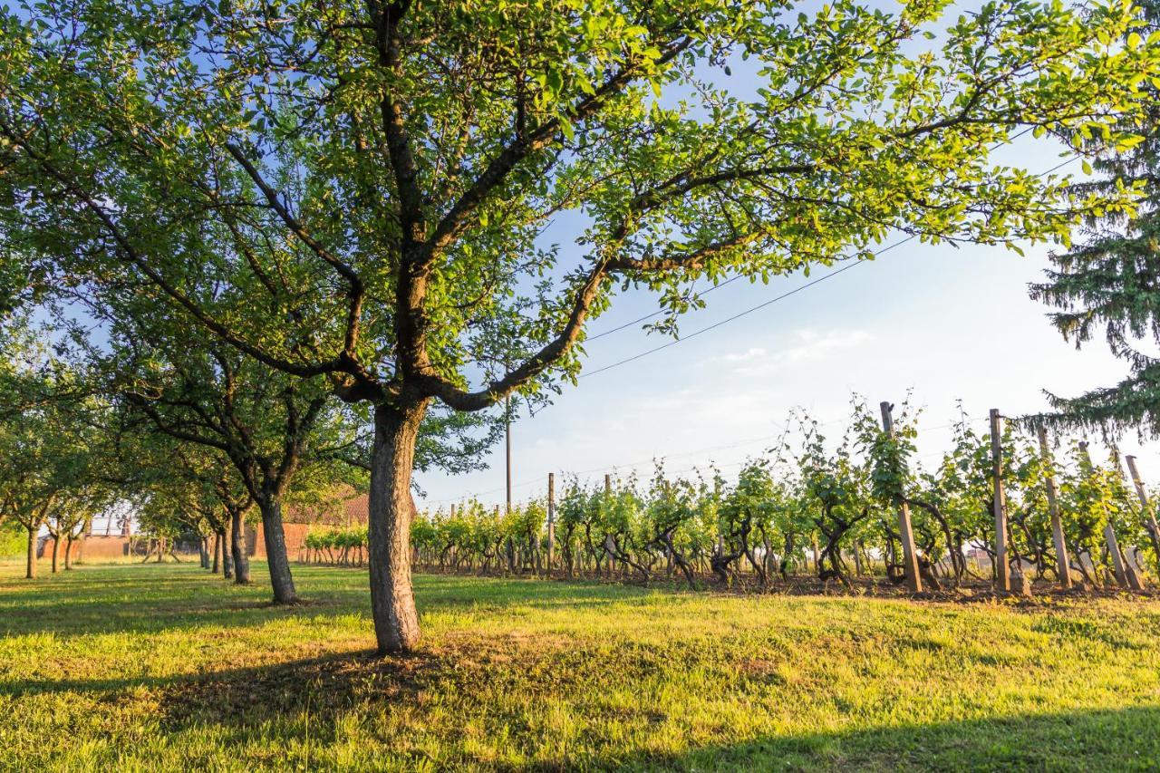 Village Wine House Mandicevac Kültér fotó