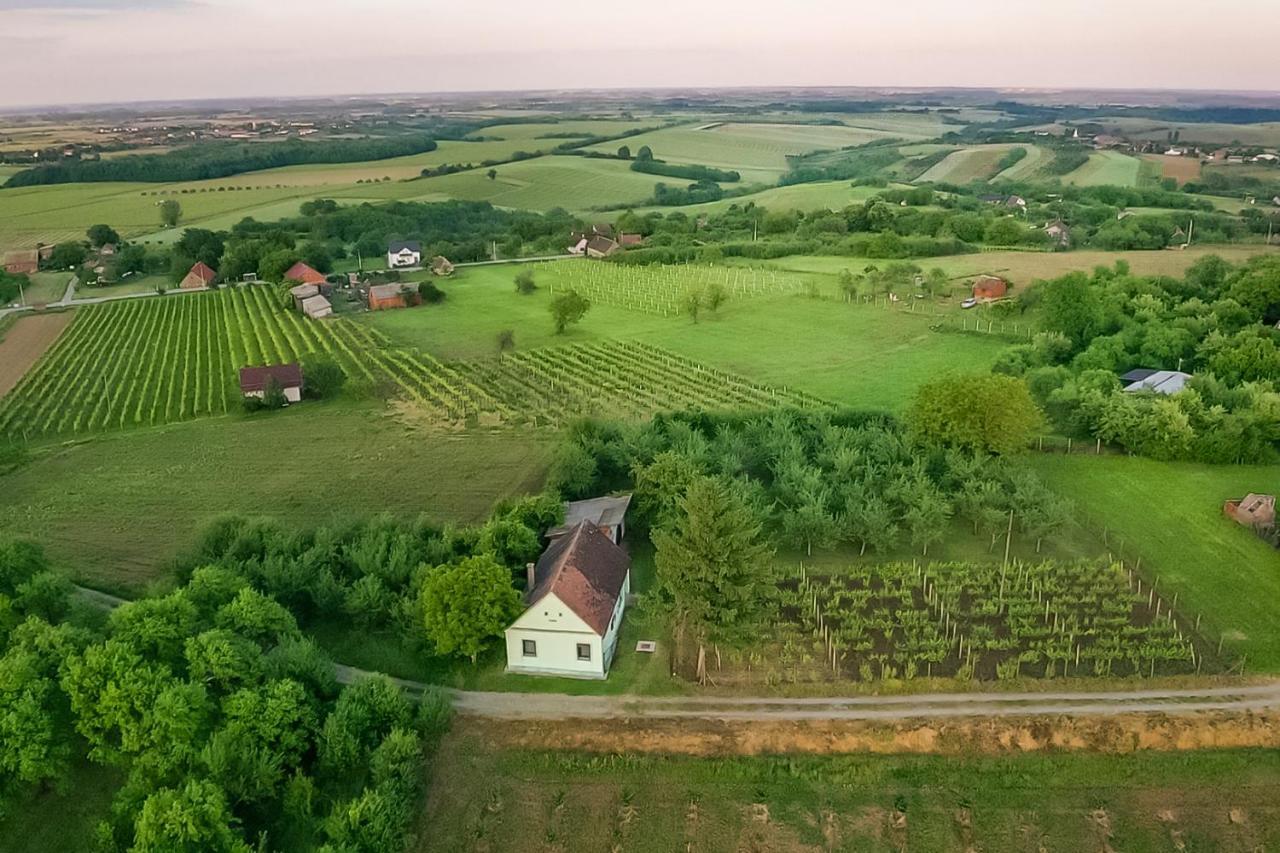 Village Wine House Mandicevac Kültér fotó