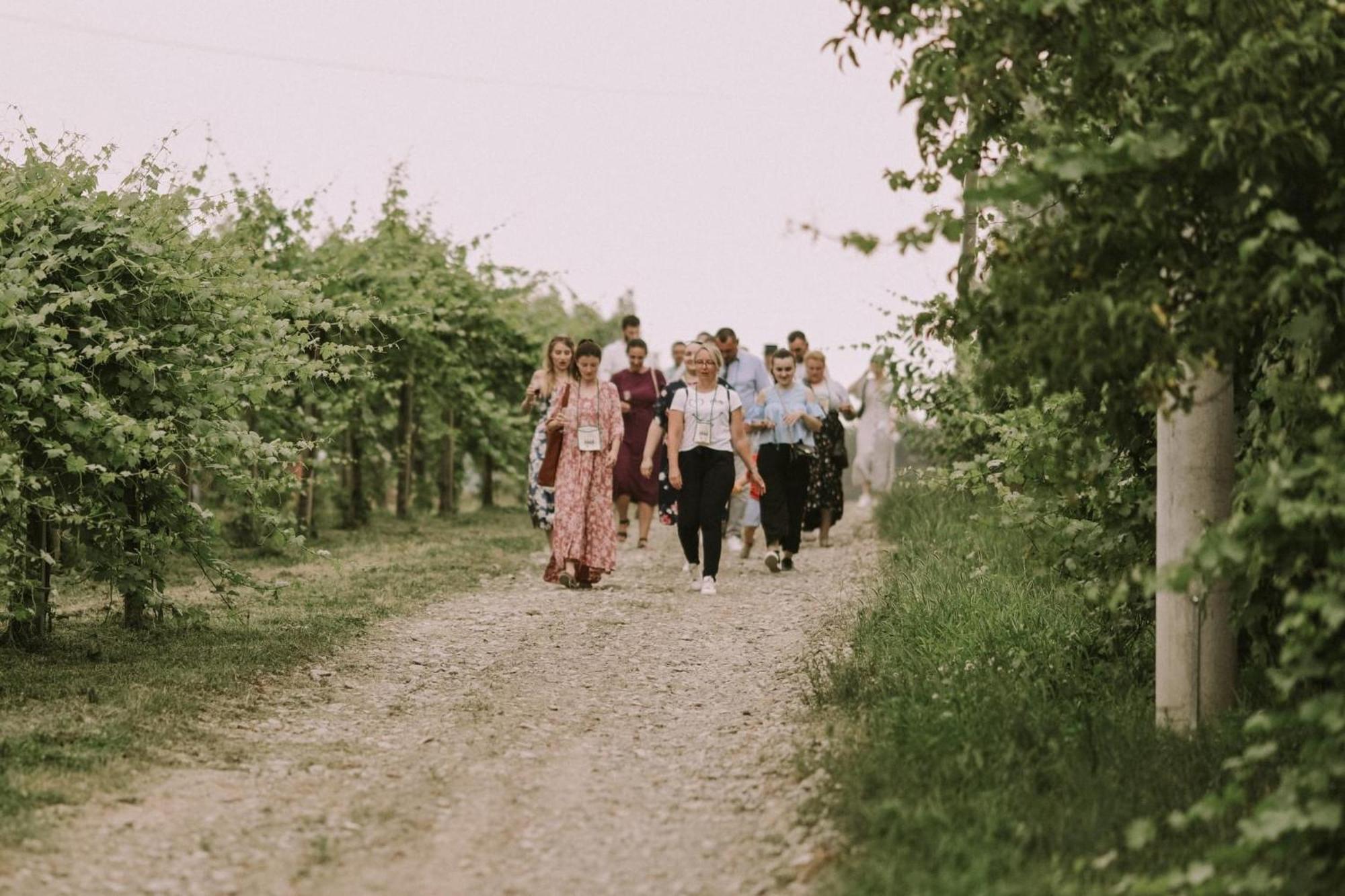 Village Wine House Mandicevac Kültér fotó